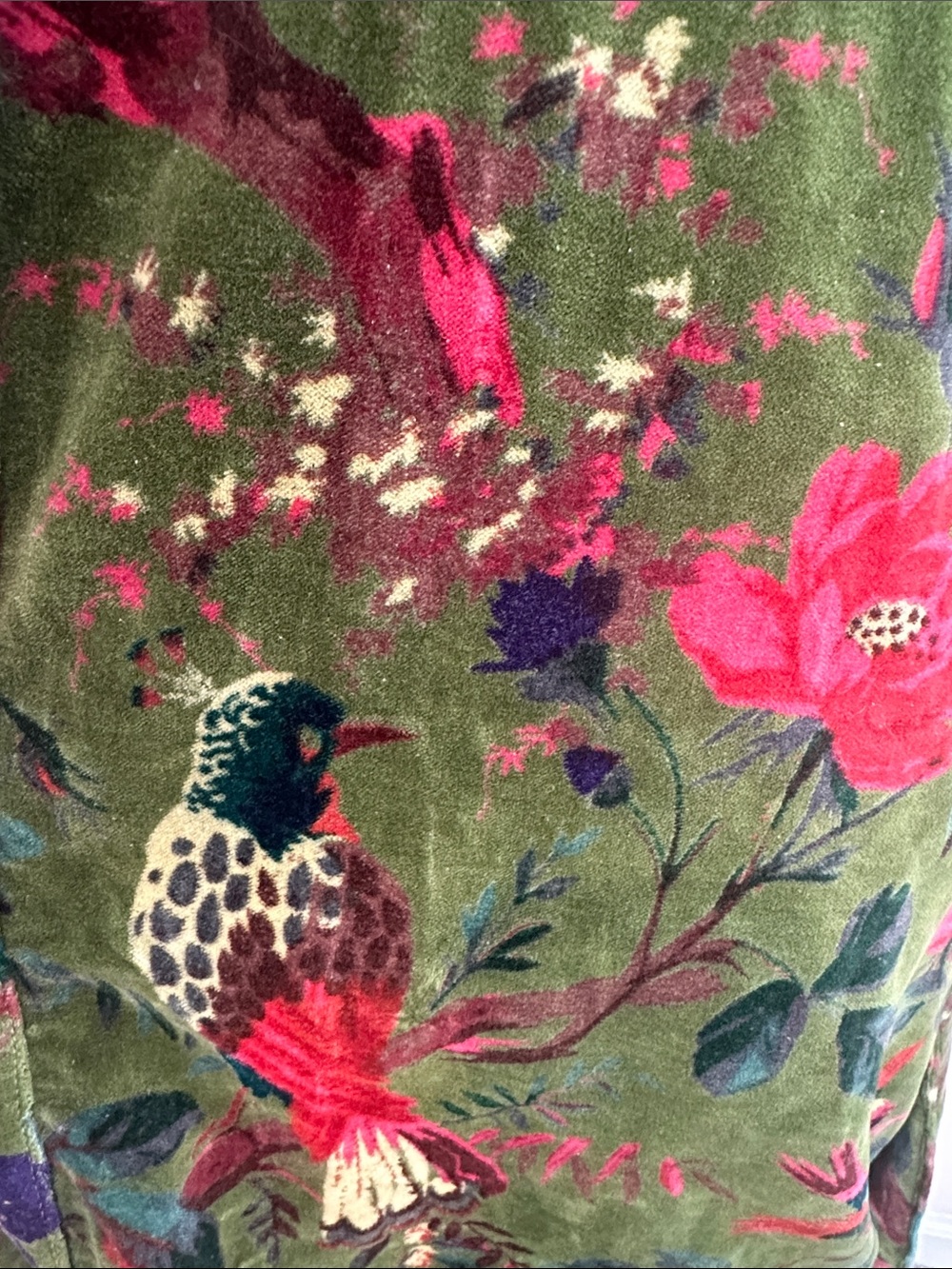 Velvet Bird Print Robe - Picture 4 of 6